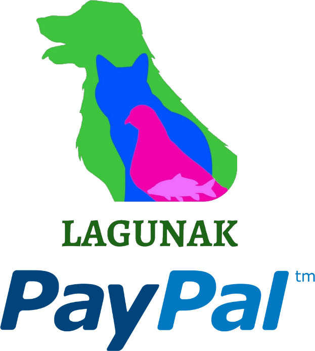 logo de lagunak con paypal